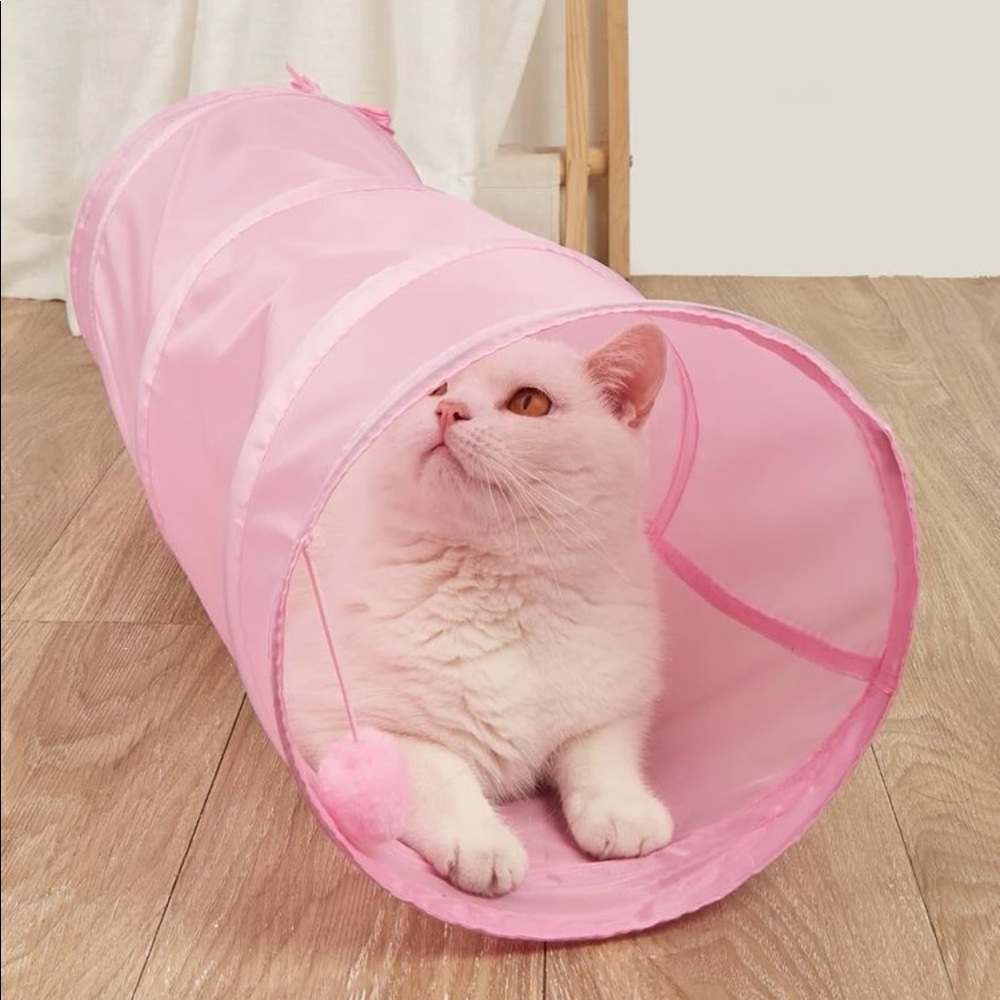 Solid Cat Tunnel 🐈